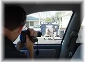 Eligibility requirements for Ontario Private Investigator licence